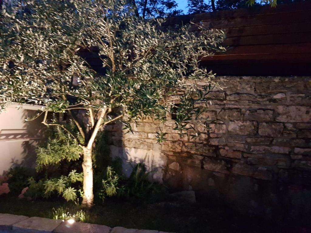 Haus Delma Villa Brajkovici  Buitenkant foto
