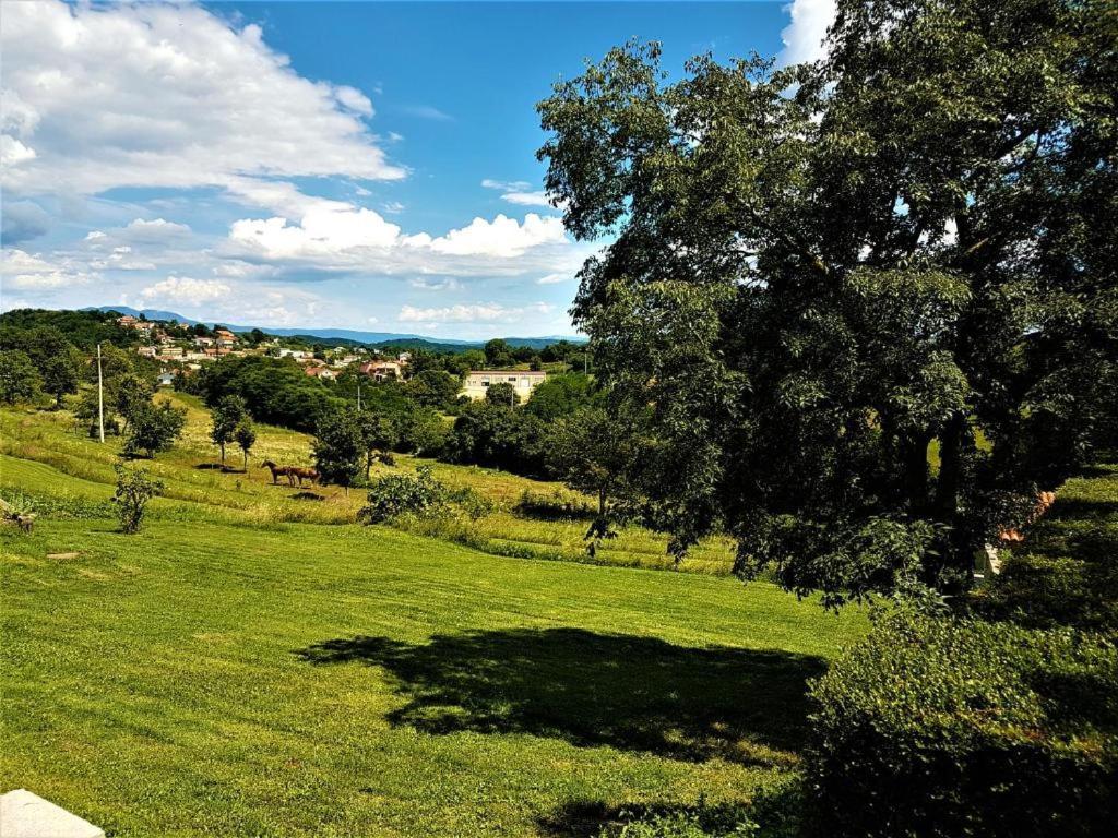 Haus Delma Villa Brajkovici  Buitenkant foto